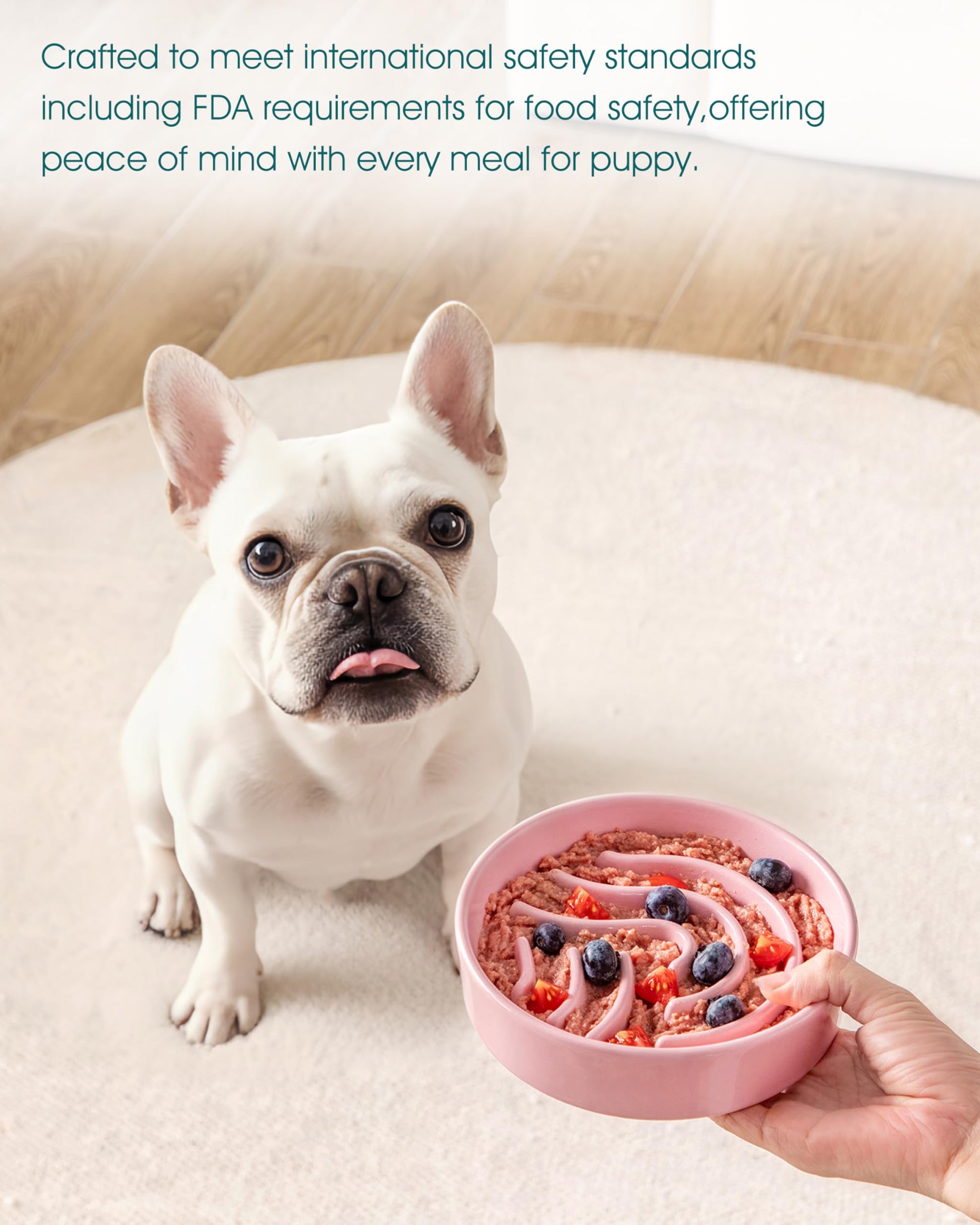 vancasso Slow Feeder Dog Bowl, 0.6 Cup Ceramic Slow Feeding Puzzle