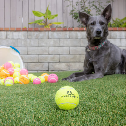 Hyper Pet Tennis Balls for Dogs 12 Pack 2.5'' Durable Non-Toxic Balls