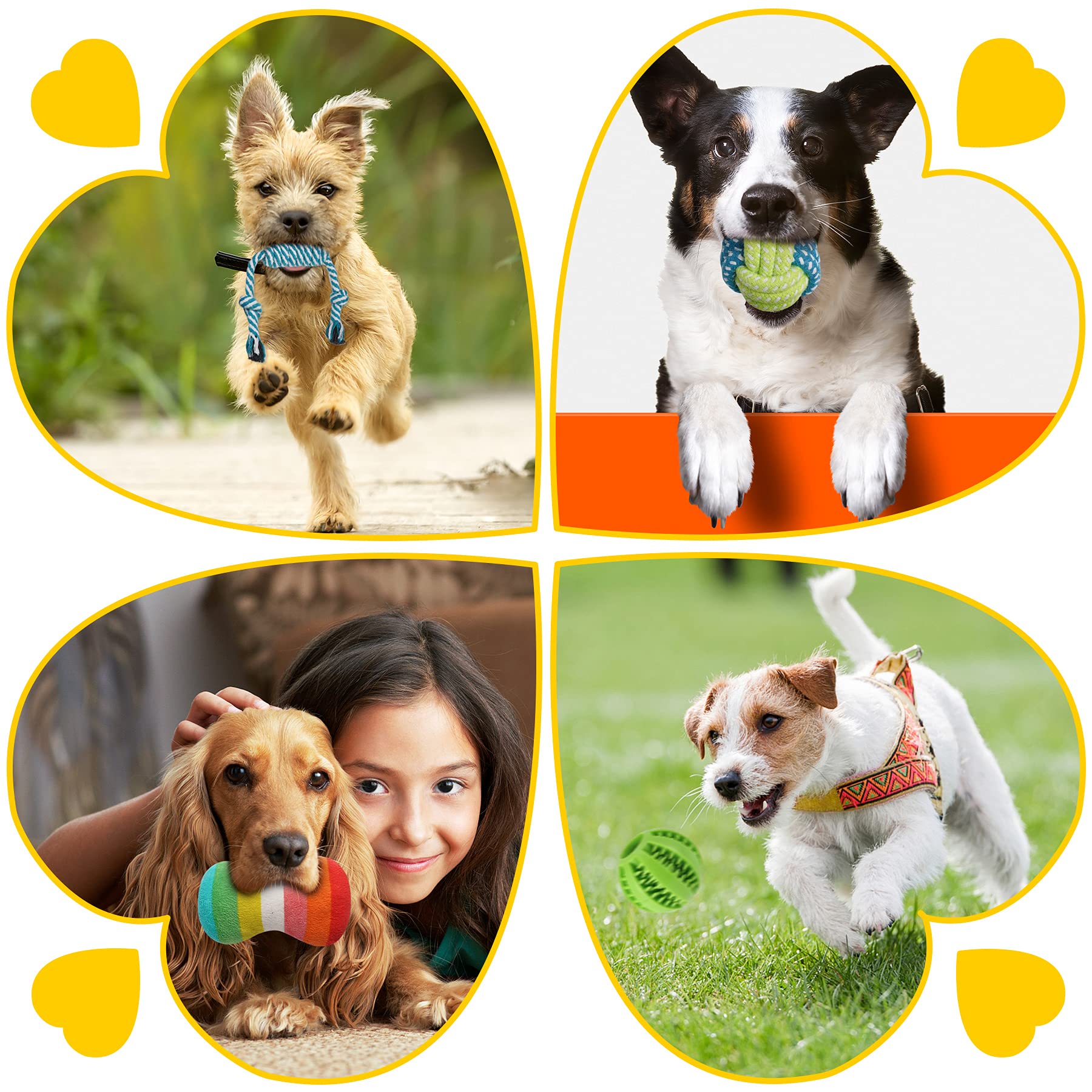 Zeaxuie 25 Pack Luxury Dog Chew Toys for Puppy, Dog Toys with Chew