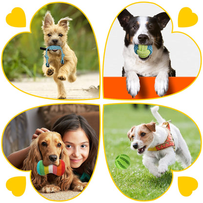 Zeaxuie 25 Pack Luxury Dog Chew Toys for Puppy, Dog Toys with Chew
