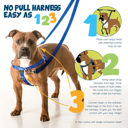 2 Hounds Design Freedom No Pull Dog Harness, Comfortable Harness