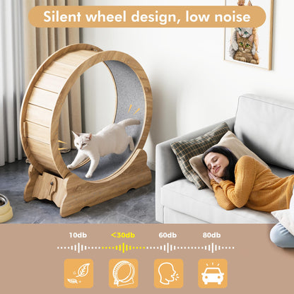 Cat Exercise Wheel, Cat Running Wheel with Smooth and Quiet Teaser