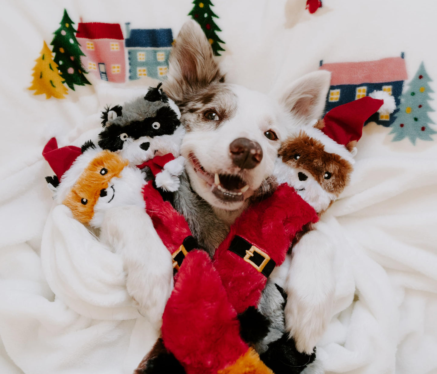 ZippyPaws Skinny Peltz No Stuffing Dog Toys to Keep Them Busy, Plush