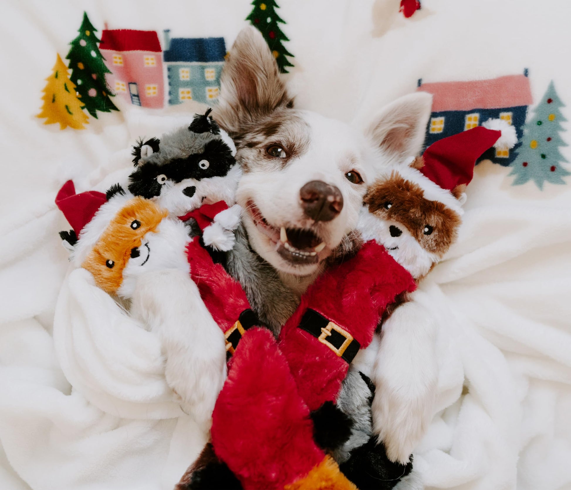 ZippyPaws Skinny Peltz No Stuffing Dog Toys to Keep Them Busy, Plush