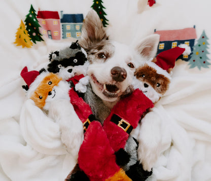 ZippyPaws Skinny Peltz No Stuffing Dog Toys to Keep Them Busy, Plush