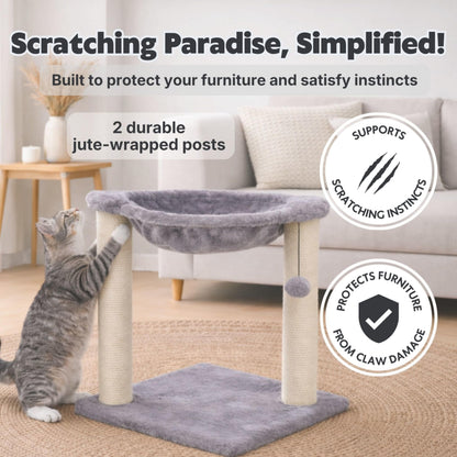 Trixie Baza Cat Scratching Posts, Indoor Cat Furniture with Plush Ball