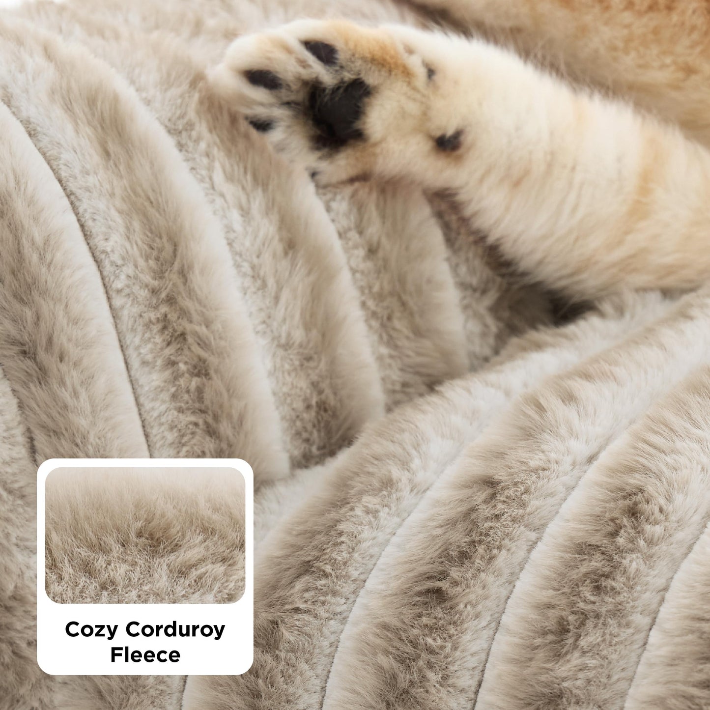 Bedsure ComfyFleece Cute Cat Couch for Pets Fluffy Cat beds