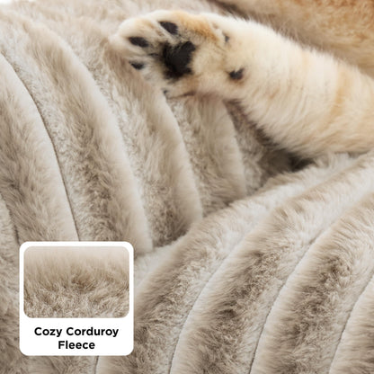 Bedsure ComfyFleece Cute Cat Couch for Pets Fluffy Cat beds