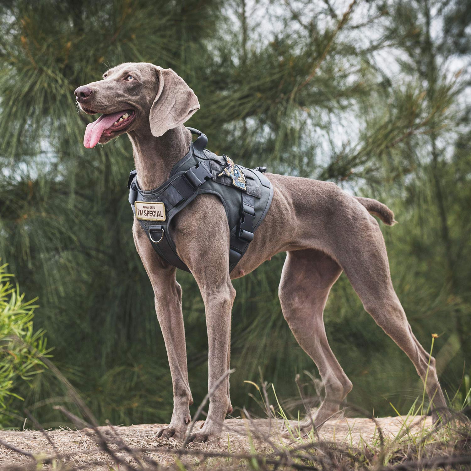 OneTigris Tactical Dog Training Vest No Pull Harness