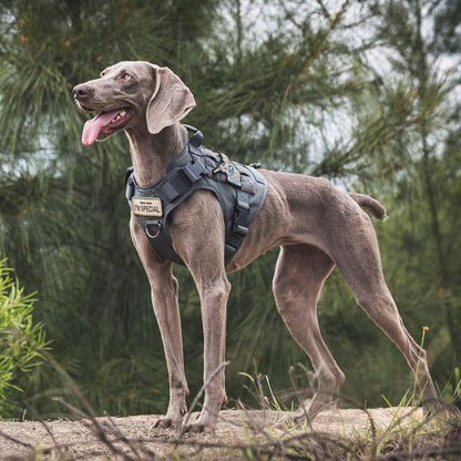 OneTigris Tactical Dog Training Vest No Pull Harness