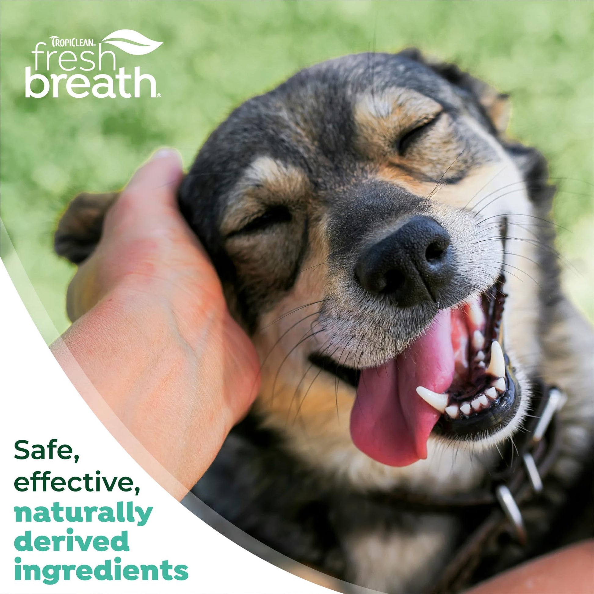 TropiClean Fresh Breath Dog Oral Care Kit, Complete Toothbrush Kit