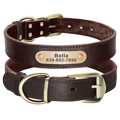 Didog Genuine Leather Dog Collars with Engraved Nameplate Collar