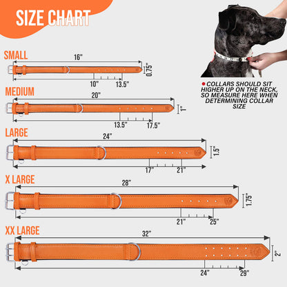 Riparo Leather Dog Collar Padded Heavy Duty Wide Dog Collar