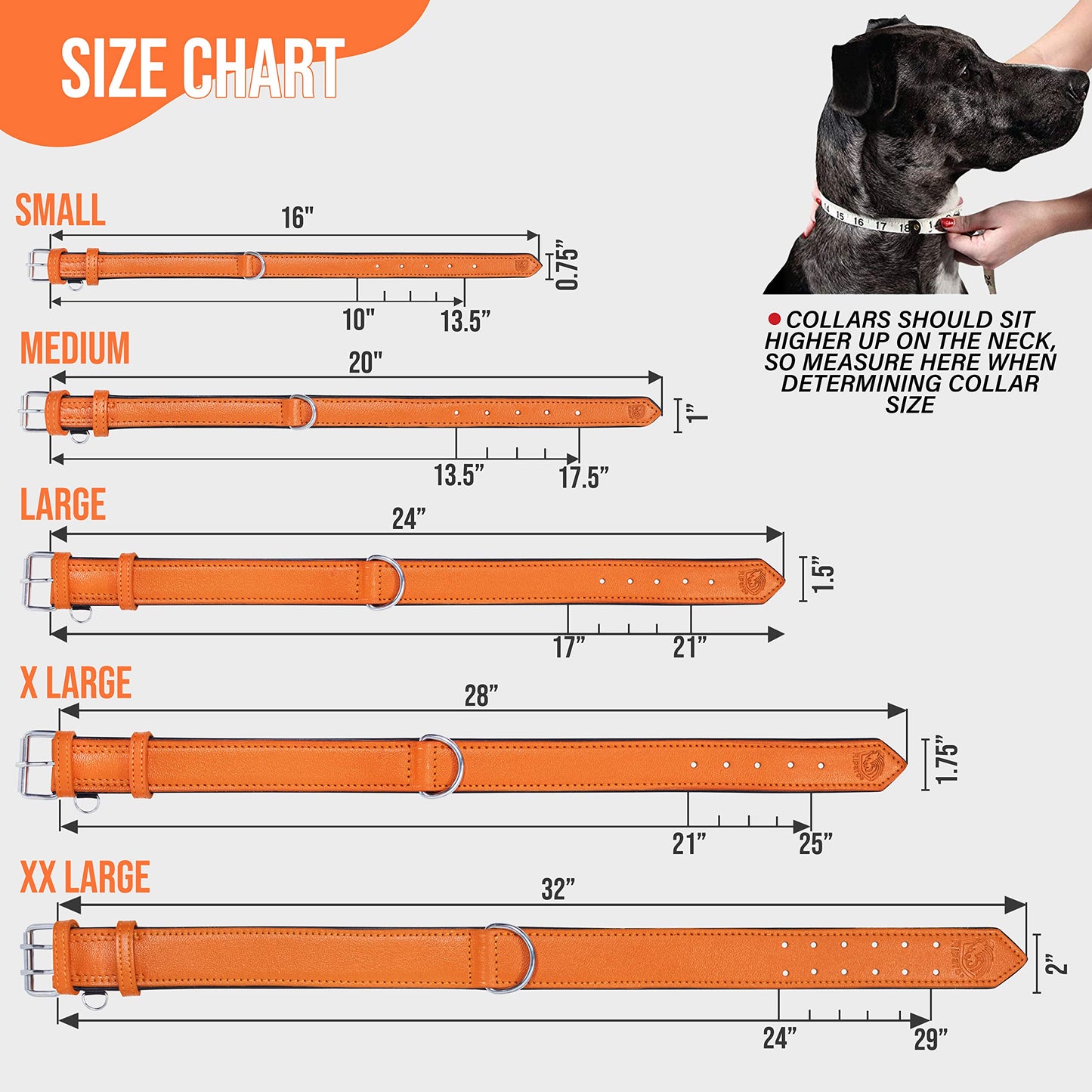 Riparo Leather Dog Collar, Large Dog Collar, Padded Heavy Duty Collar