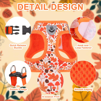 EXPAWLORER Thanksgiving Autumn Puppy Harness Dog Collar and Leash
