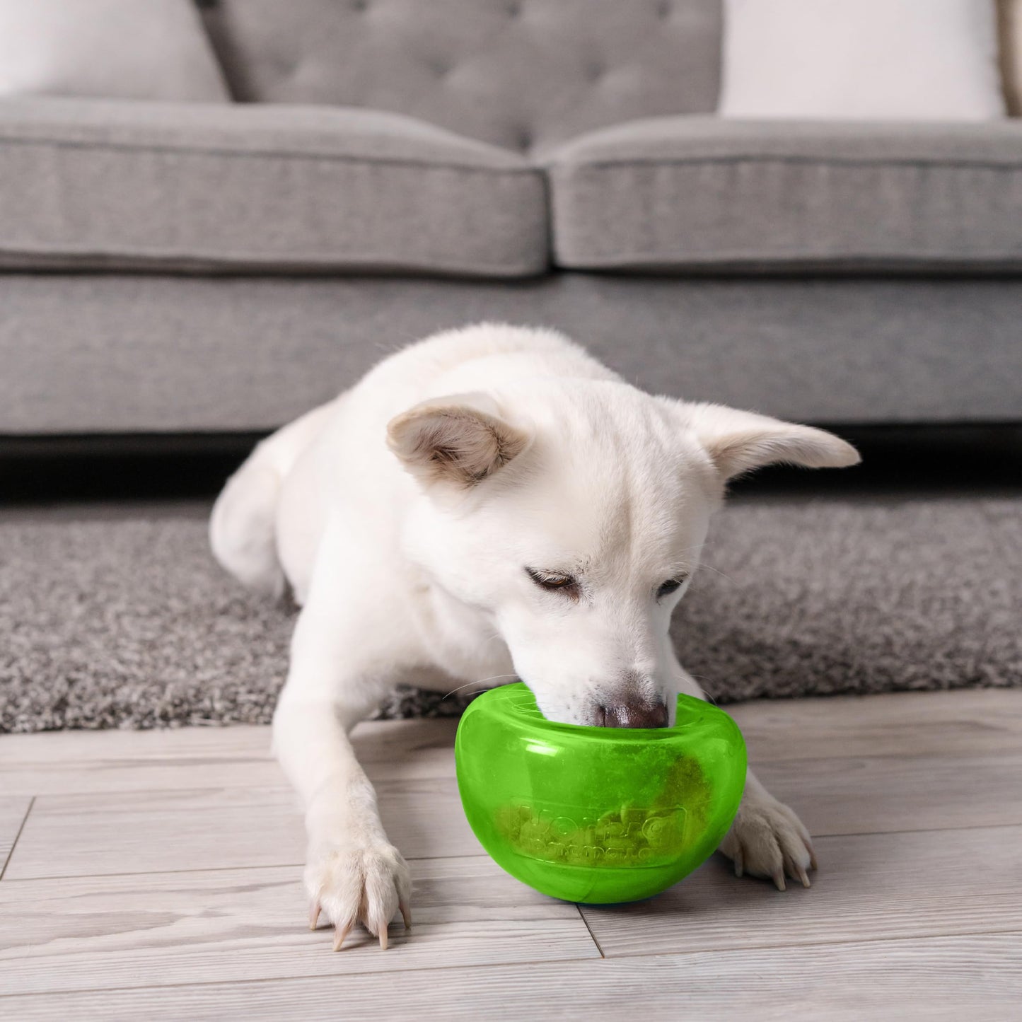 Outward Hound by Planet Dog Snoop Dog Toy Treat‑Dispenser Puzzle