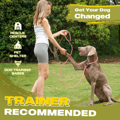 Fida Durable Slip Leads for Dogs, x 3/8" Heavy Duty Dog Loop Lead