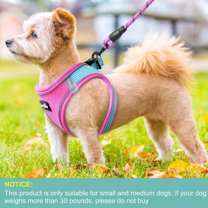 haapaw Dog Harness with Leash Set, No Pull Adjustable Reflective Set