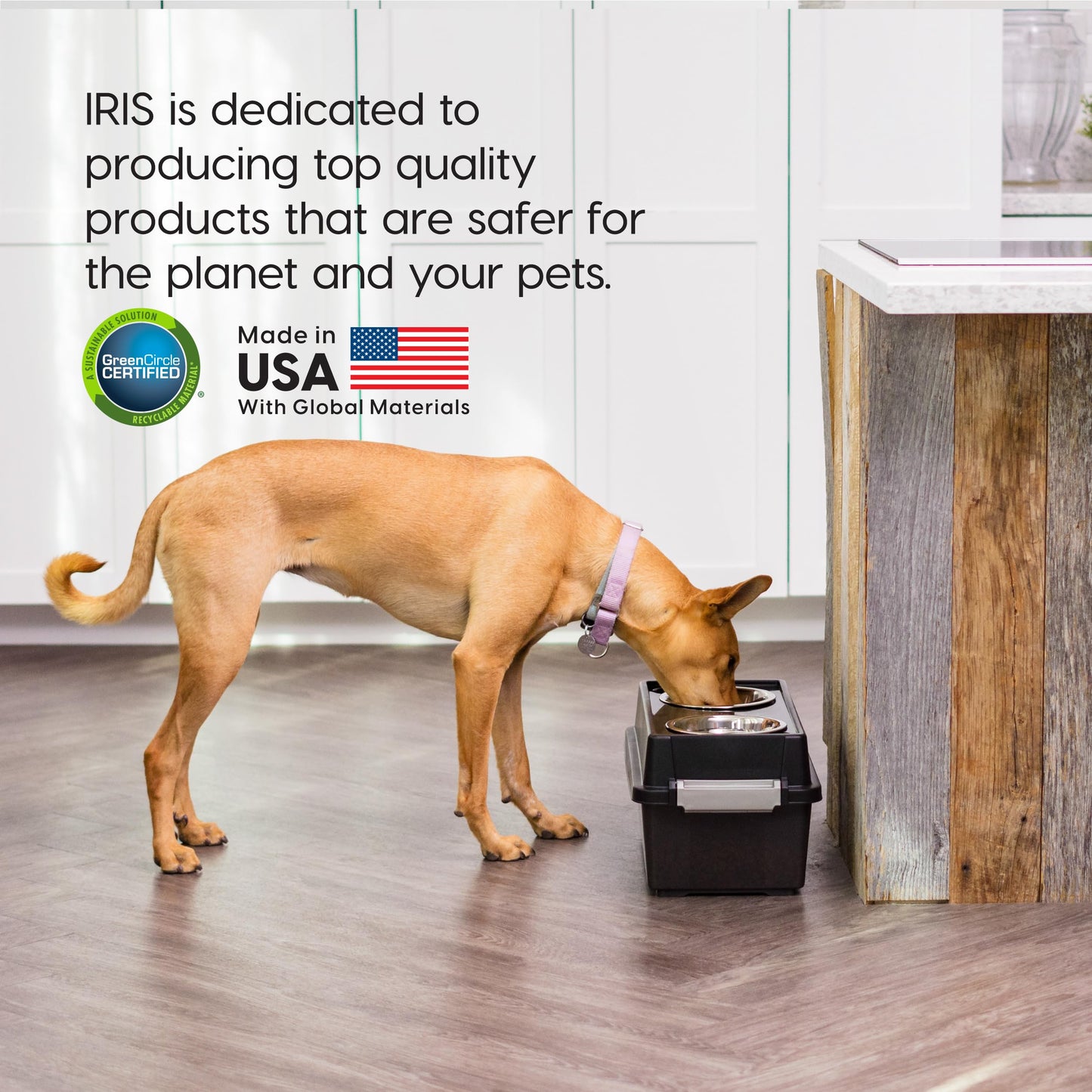 IRIS USA Dog Bowls Elevated with Storage, 9" H Raised Feeding Bowl