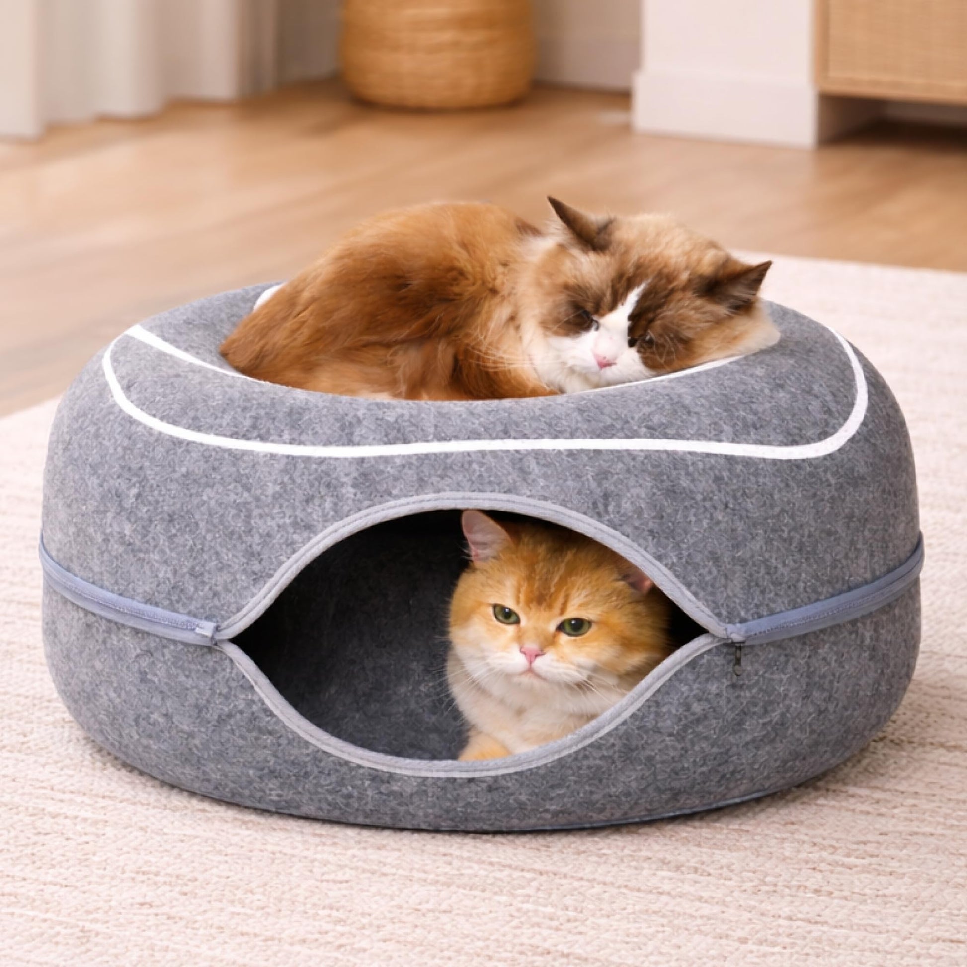 Peekaboo Cat Cave Donut Cat Tunnel Bed for Indoor Cats Cute Bed
