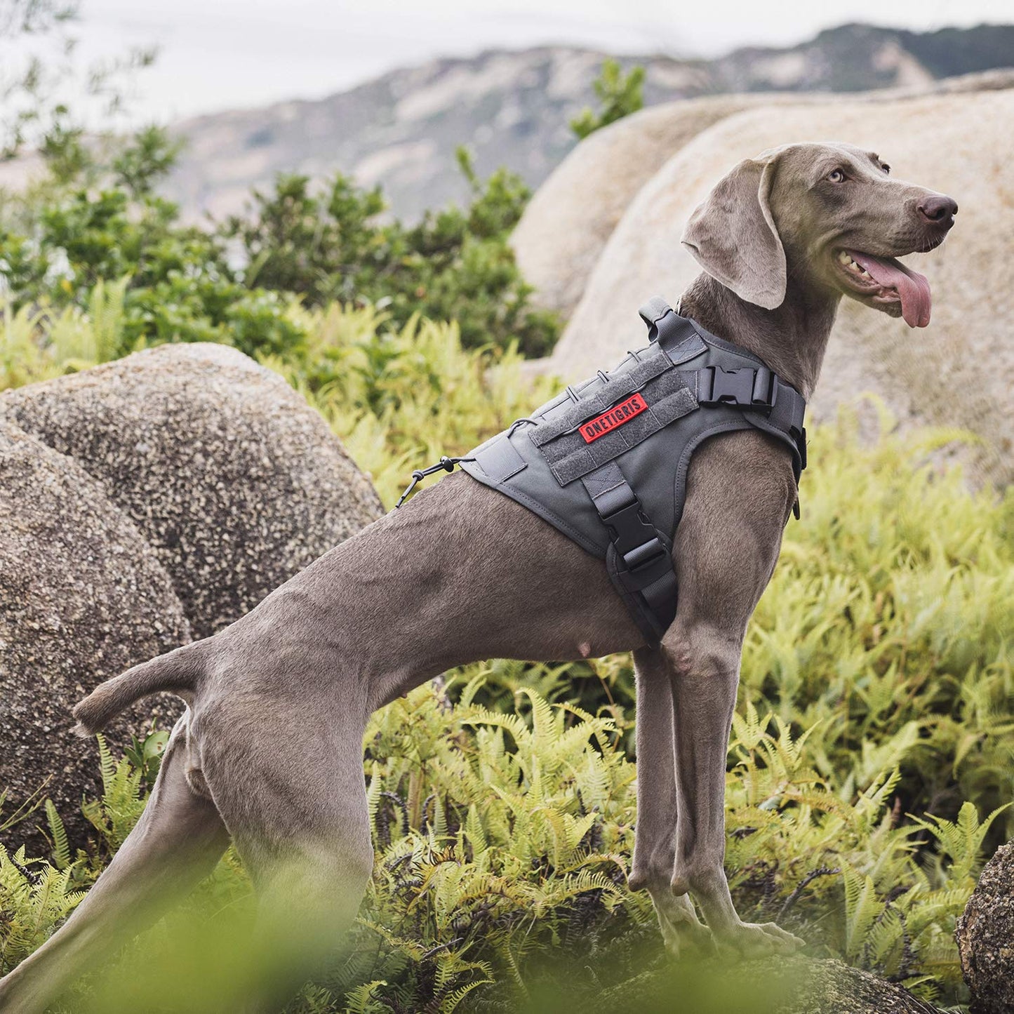 OneTigris Adjustable Tactical Dog Harness with Handle Full Harness