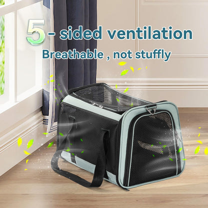 Petsfit 18 x 11 x 11 Pet Carrier Airline Approved, Soft-Sided Cushion