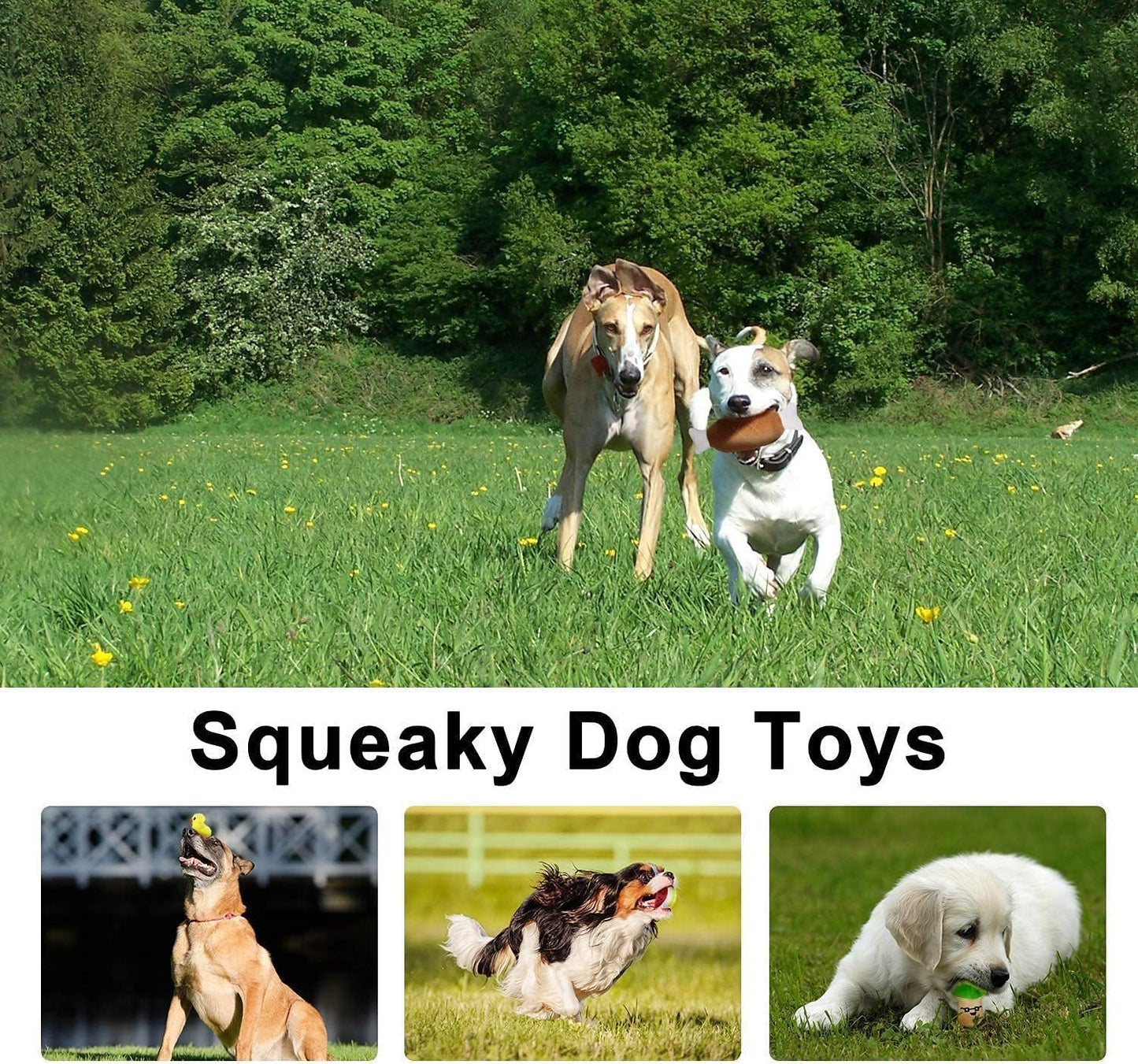 LEGEND SANDY Dog Squeaky Toys, Plush Small Dog Toys for Dogs, Plush