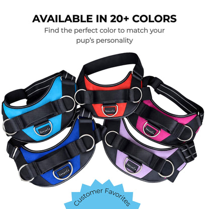 ShawnCo Essential Dog Harness, No-Pull Pet Vest with 3 Leash Leash