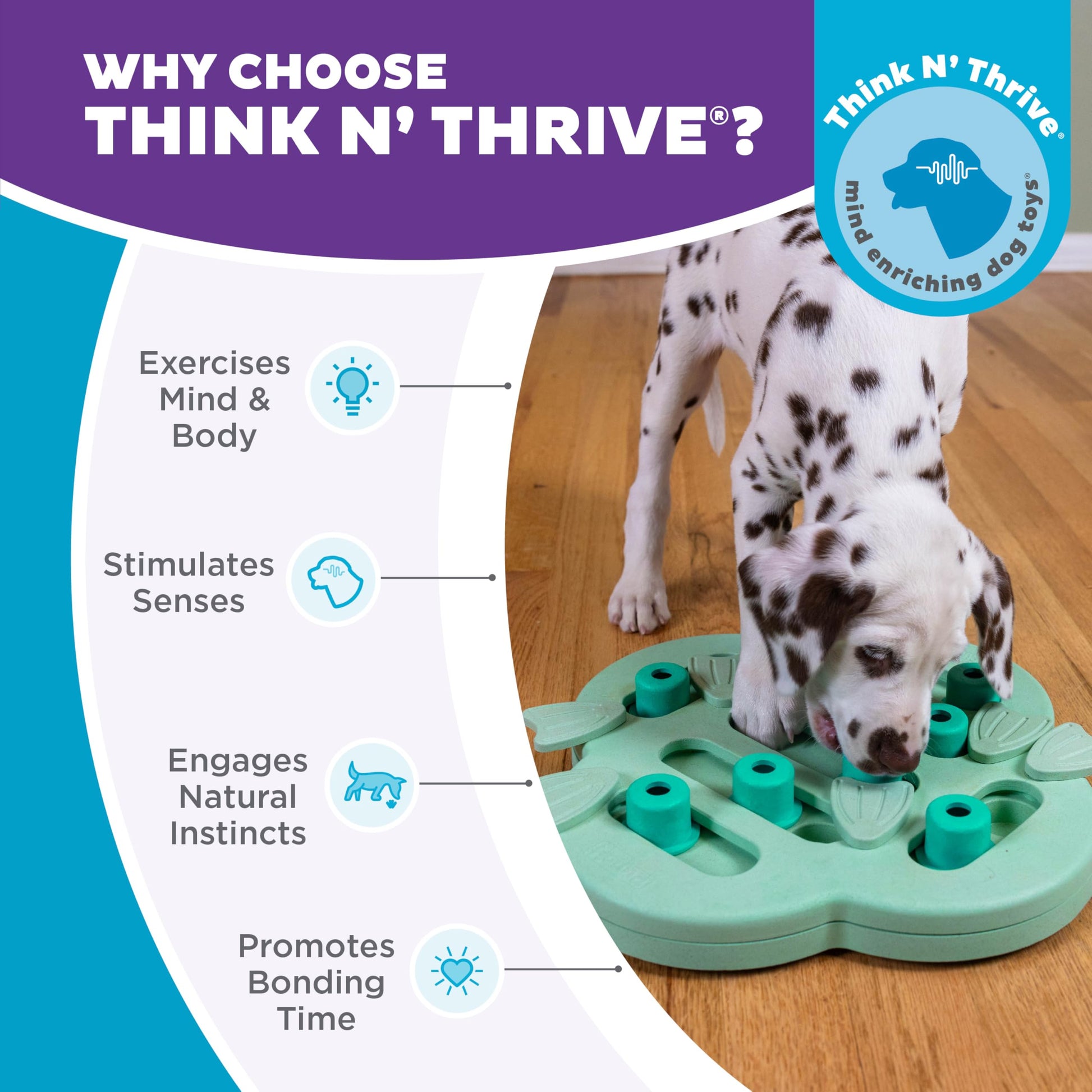 Outward Hound by Nina Ottosson Puppy Hide N' Slide Treat Puzzle