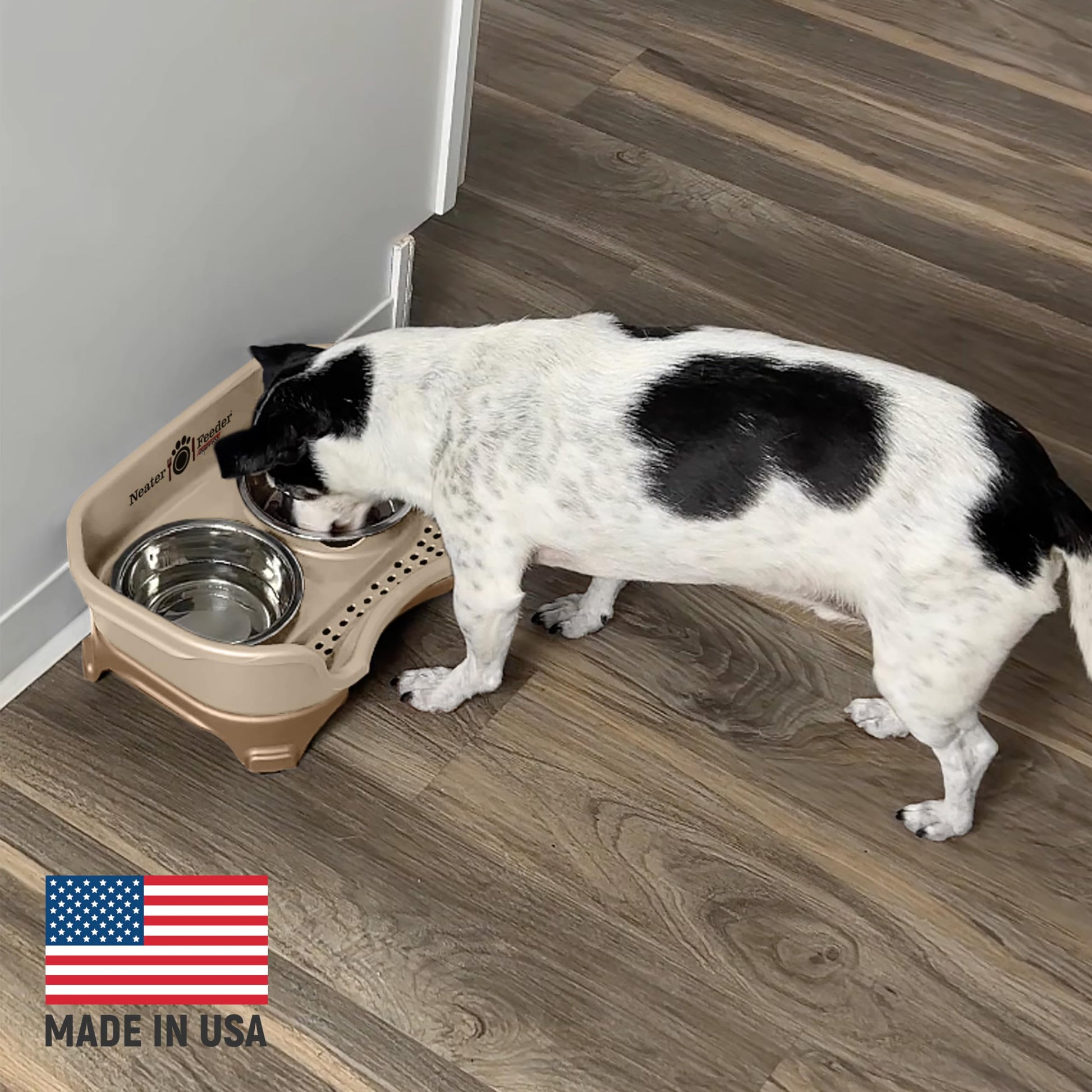 Neater Feeder Express Mess Proof Dog Bowls Elevated for Small Bowl