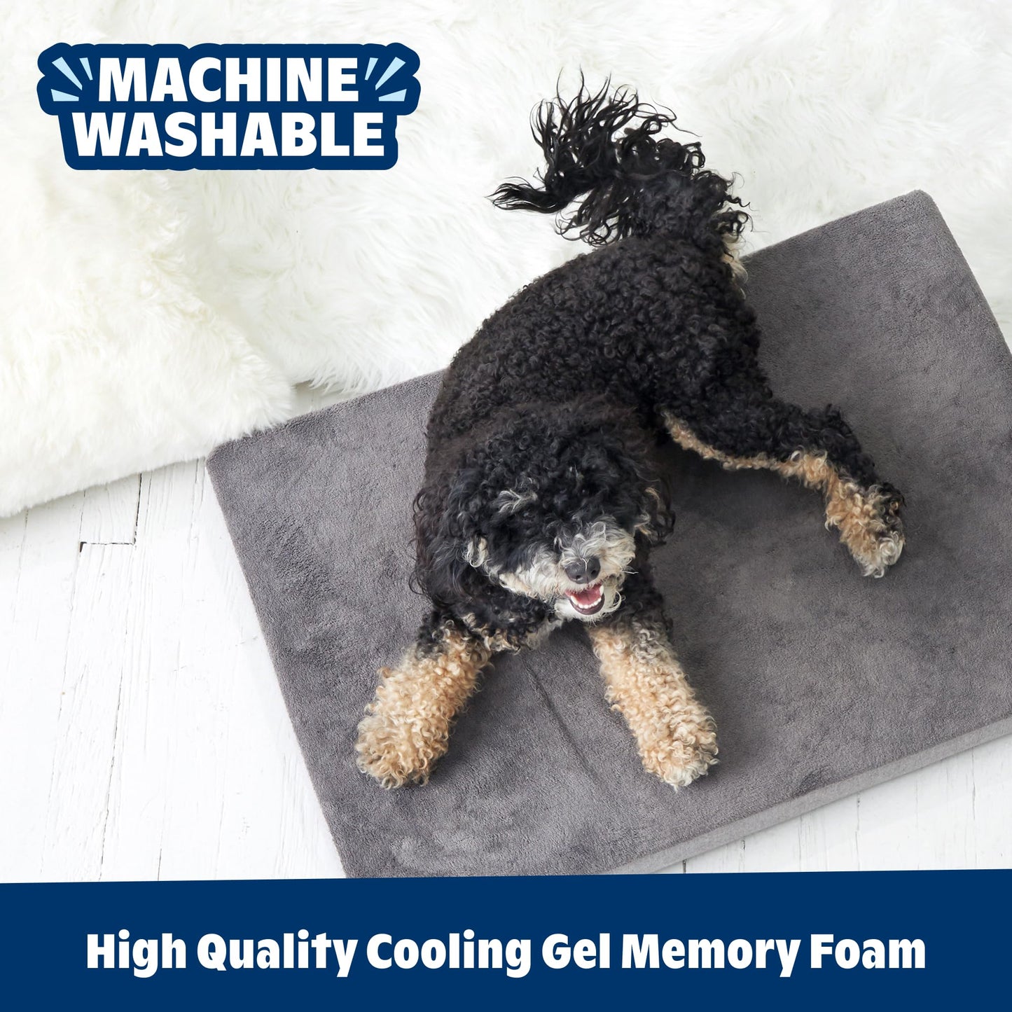 Barkbox Orthopedic Dog Bed with Memory Foam, Comfort Bed