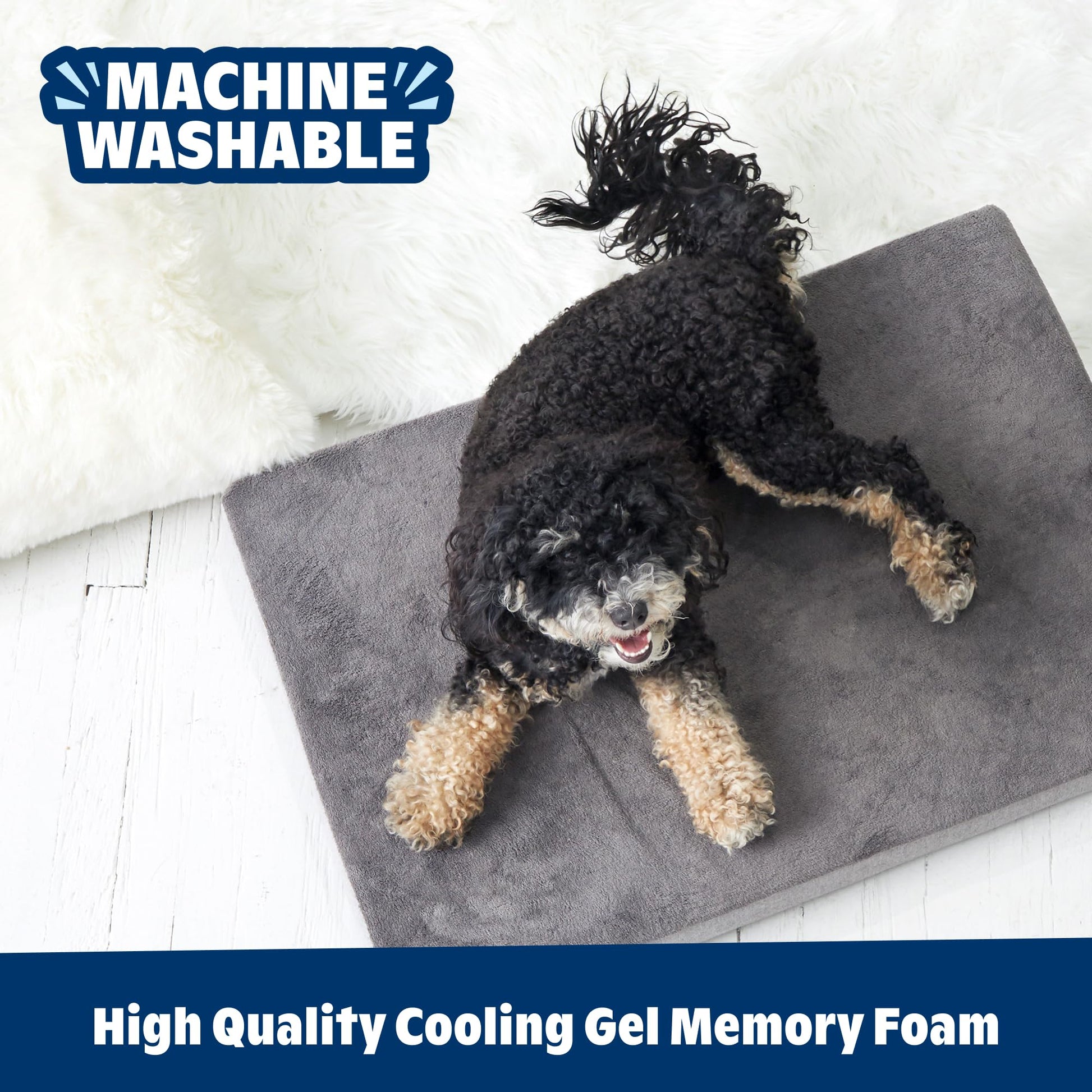 Barkbox Orthopedic Dog Bed with Memory Foam, Comfort Bed