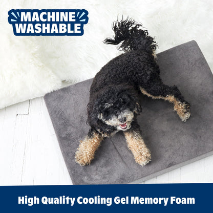 Barkbox Orthopedic Dog Bed with Memory Foam, Comfort Bed