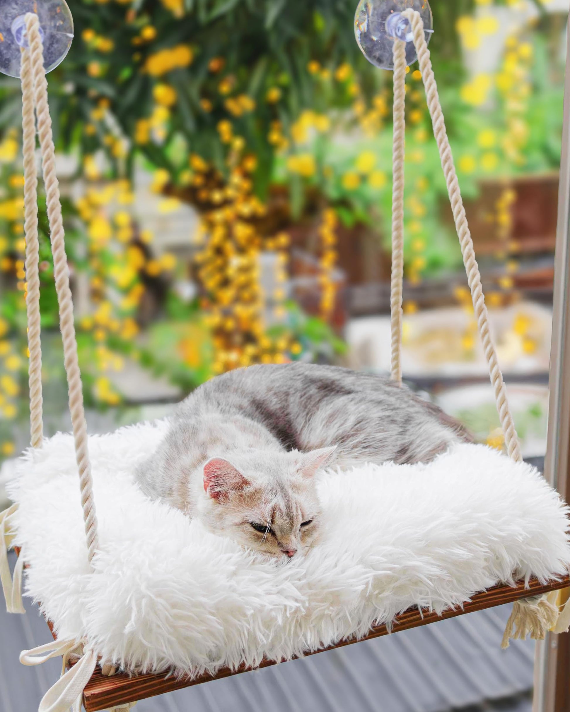 Cat Hammock with Industrial-Grade Suction Cups Solid Pine Wood Cushion