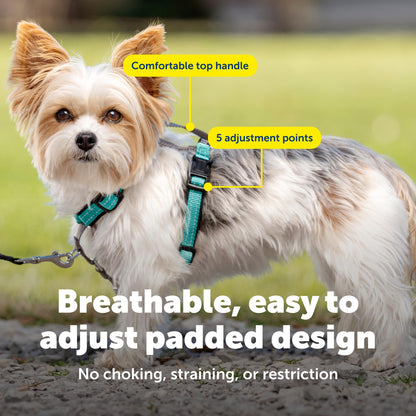 PetSafe 1 No-Pull Dog Harness for Small Dogs- Walk, Train or Harness