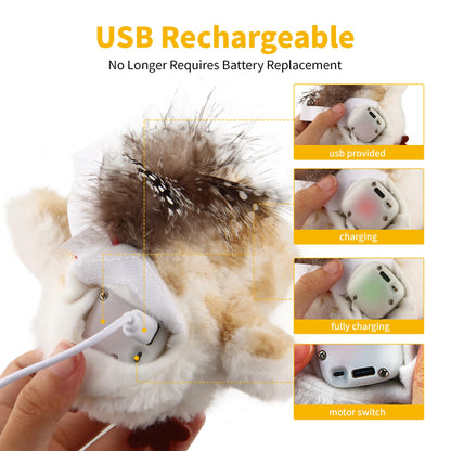 Gigwi Interactive Cat Toys for Indoor Cats, Flapping and Catnip