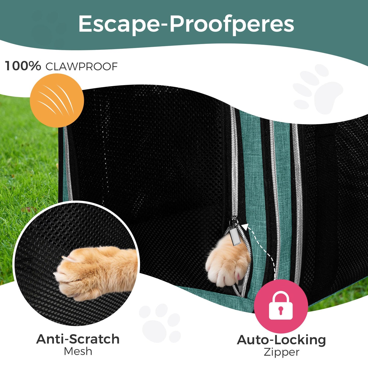 BAGLHER Pet Travel Carrier, Cat Carriers Dog Carrier