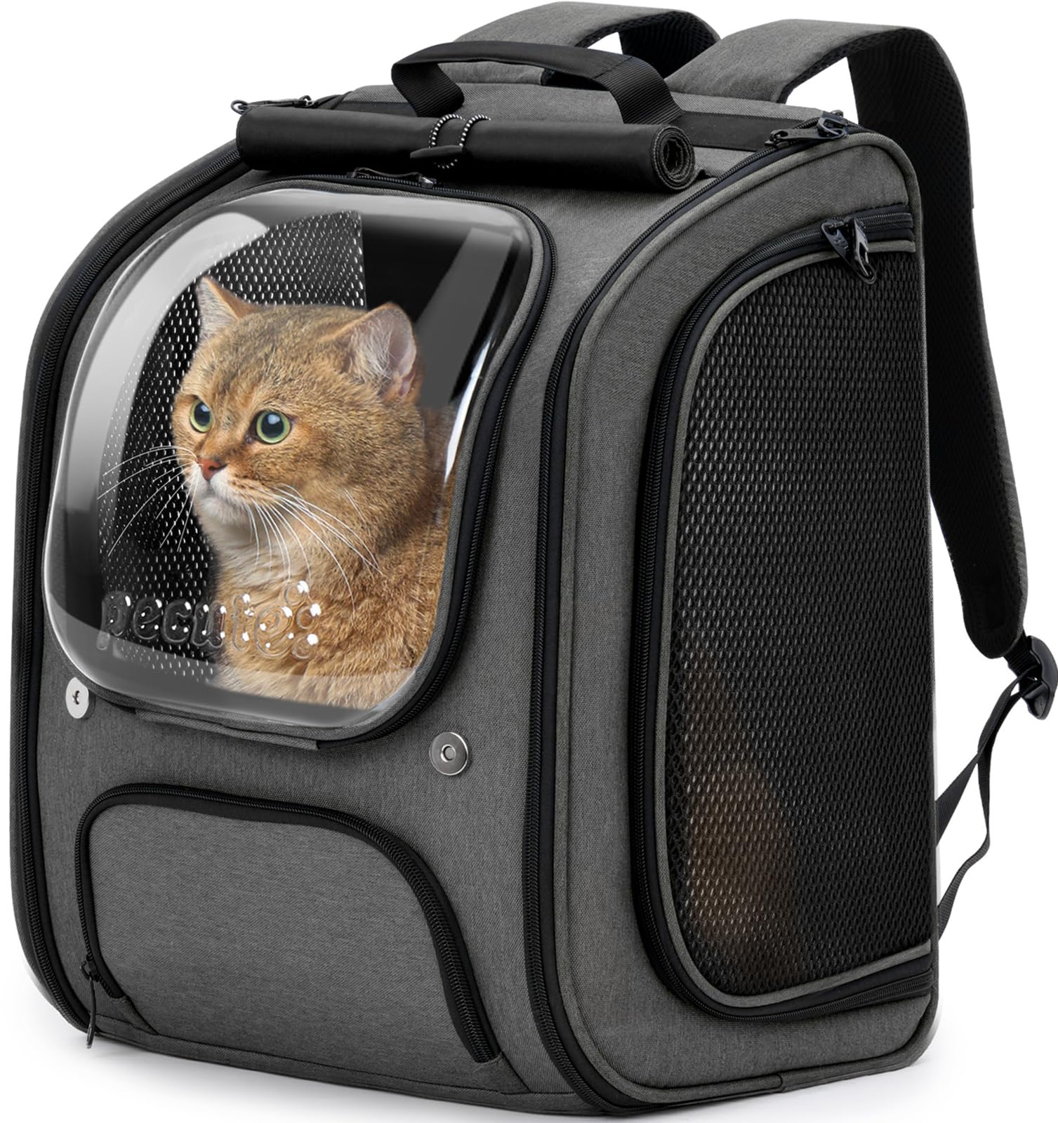 Pecute Cat Backpack Carrier, Large Space Cat Bubble Backpack