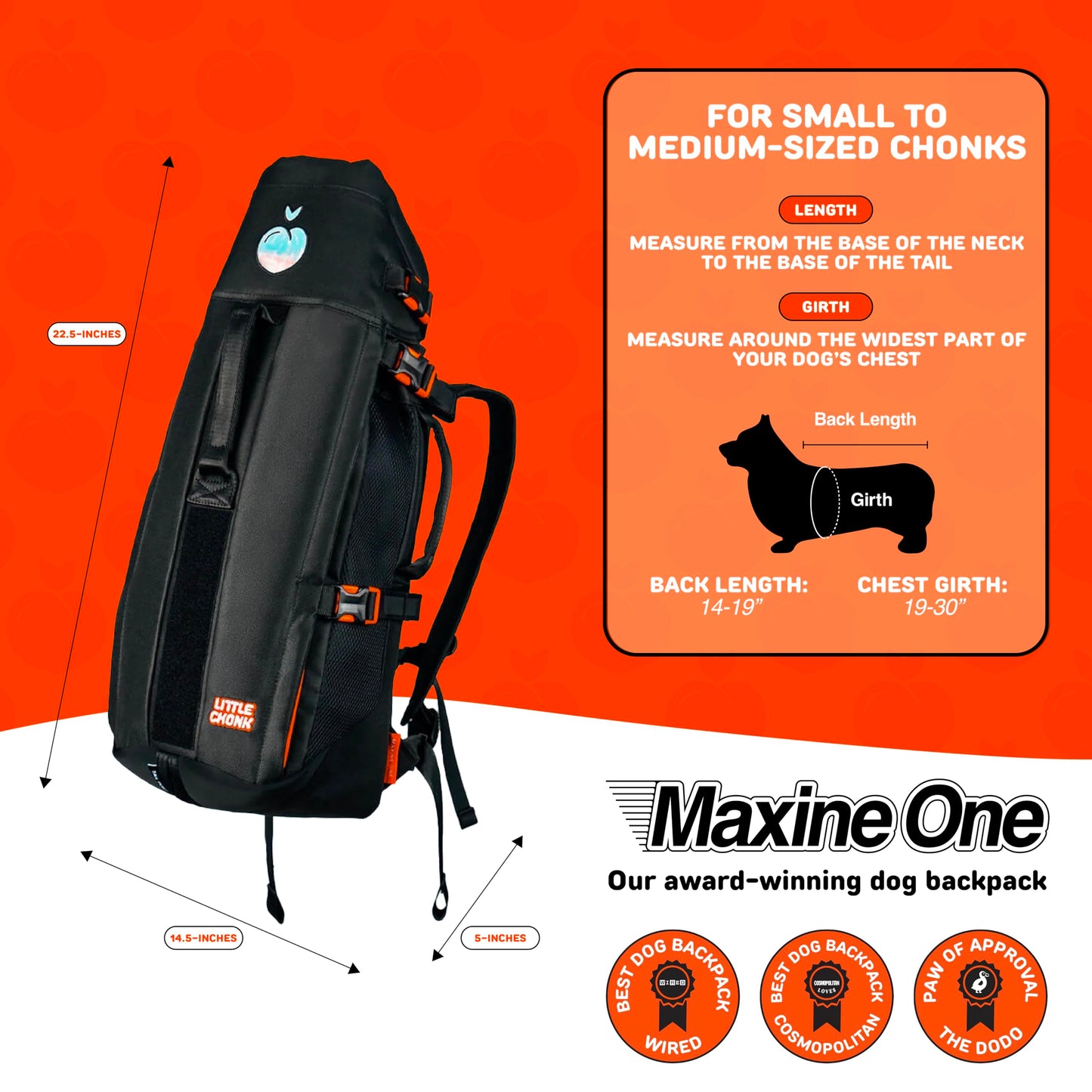 Maxine One Dog Backpack Carrier for Medium Dogs by Little Carrier
