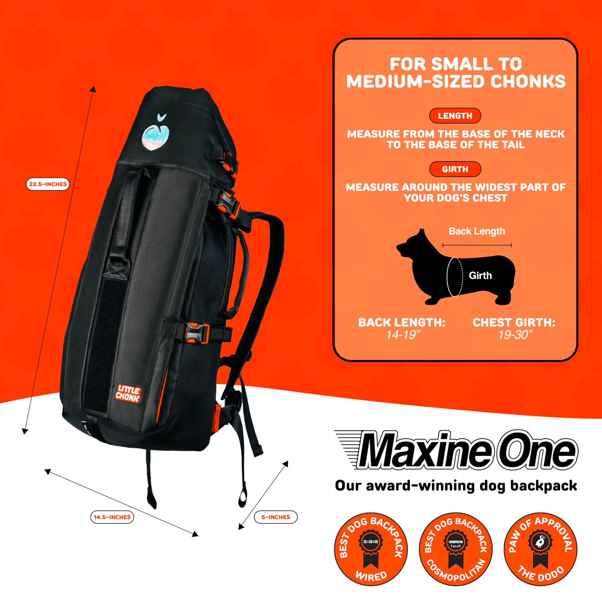 Maxine One Dog Backpack Carrier for Medium Dogs by Little Carrier