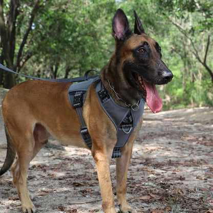 ICEFANG GN8 Tactical Dog Harness with 4X Metal Buckles for Large Leash