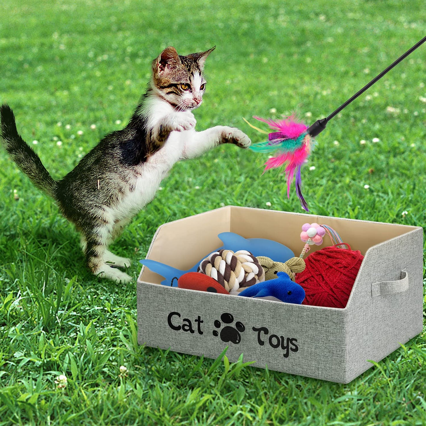LOVSTORAGE 2X Thicker Large Cat Toy Bin Collapsible Cat Toy Box Bed