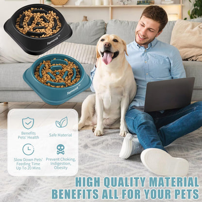 2 Pack Slow Feeder Dog Bowls for Healthy Eating, Non-Slip Feeder