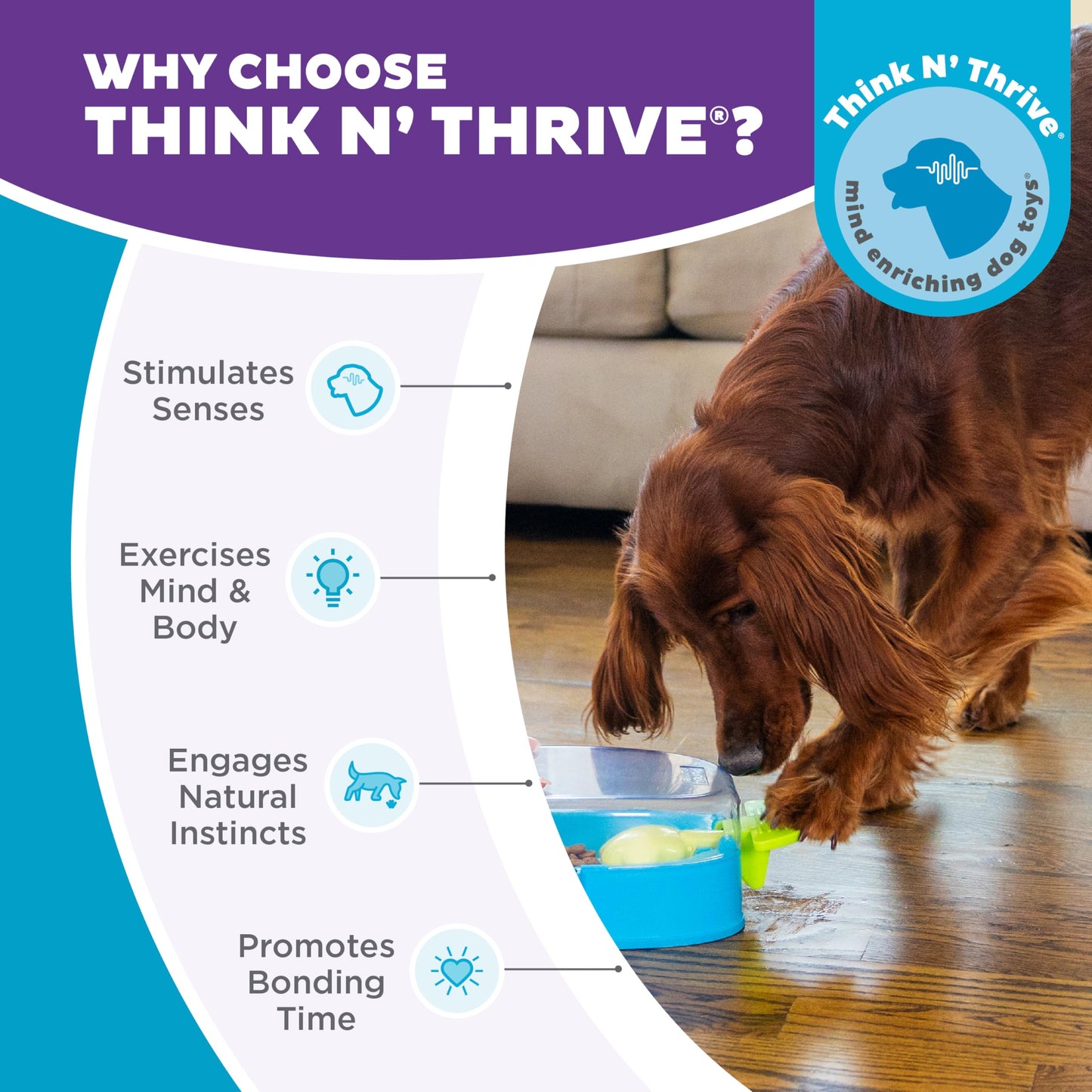 Outward Hound Nina Ottosson Paw N' Play Interactive Dog Treat Puzzle