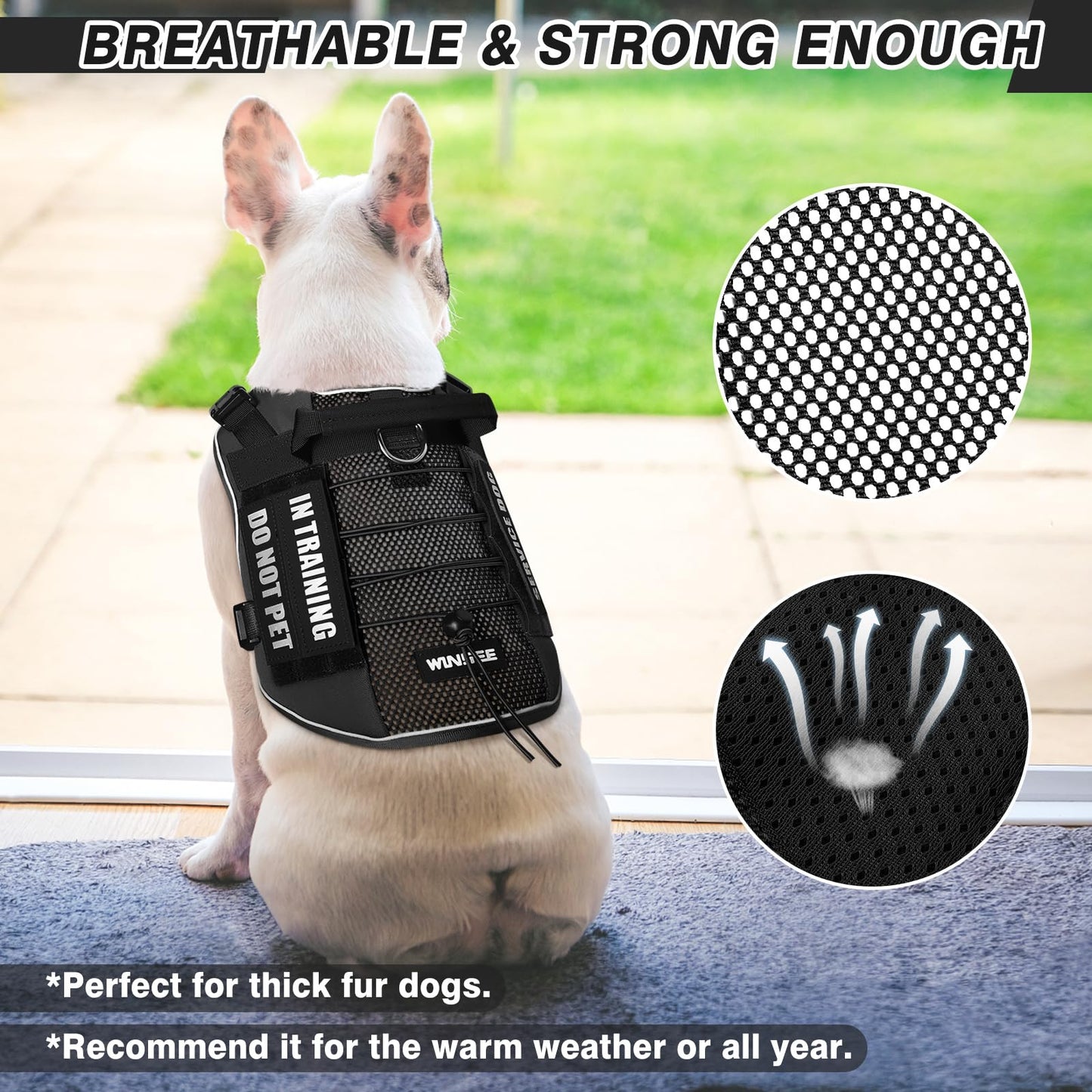 WINSEE Service Dog in Training Mesh Harness with 10 Pet Harness