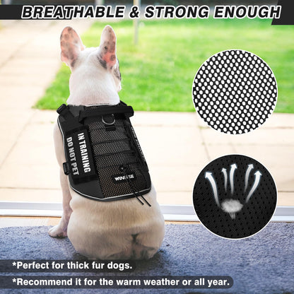WINSEE Service Dog in Training Mesh Harness with 10 Pet Harness