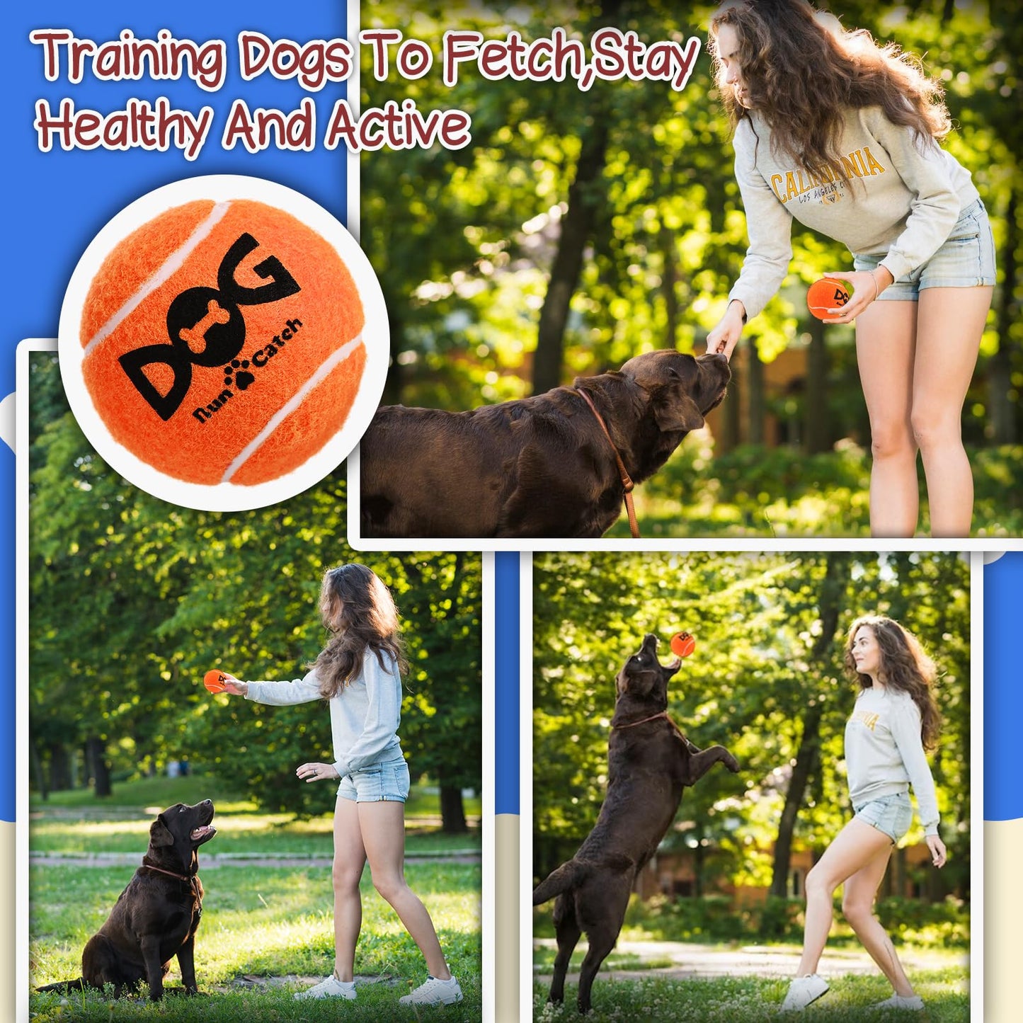 INSUM Squeaky Dog Balls Squeaky Tennis Balls for Dogs, Medium Balls