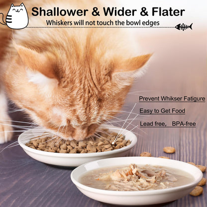 WROSWT Cat Food Bowl,Healthy Ceramic Cat Bowls for Indoor Cats,Anti