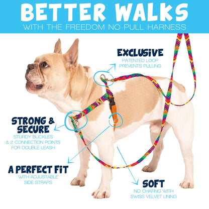 2 Hounds Design Freedom No Pull Dog Harness, Adjustable Harness