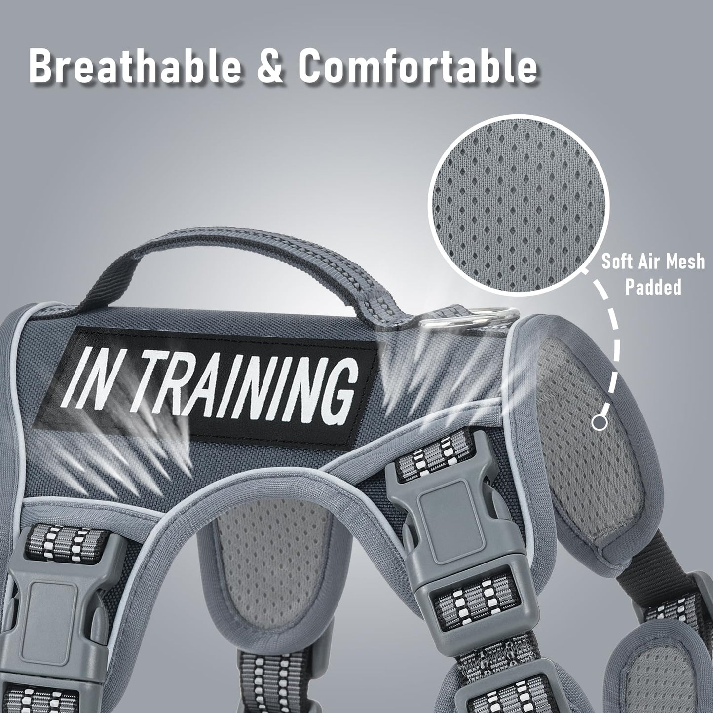 No Pull Dog Harness for Large Dogs with 2 Metal Clips, Easy Harness